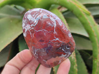 Polished Red Jasper Standing Free Forms x 3 From Madagascar