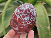 Polished Red Jasper Standing Free Forms x 3 From Madagascar
