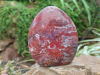 Polished Red Jasper Standing Free Forms x 3 From Madagascar