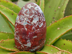 Polished Red Jasper Standing Free Forms x 3 From Madagascar