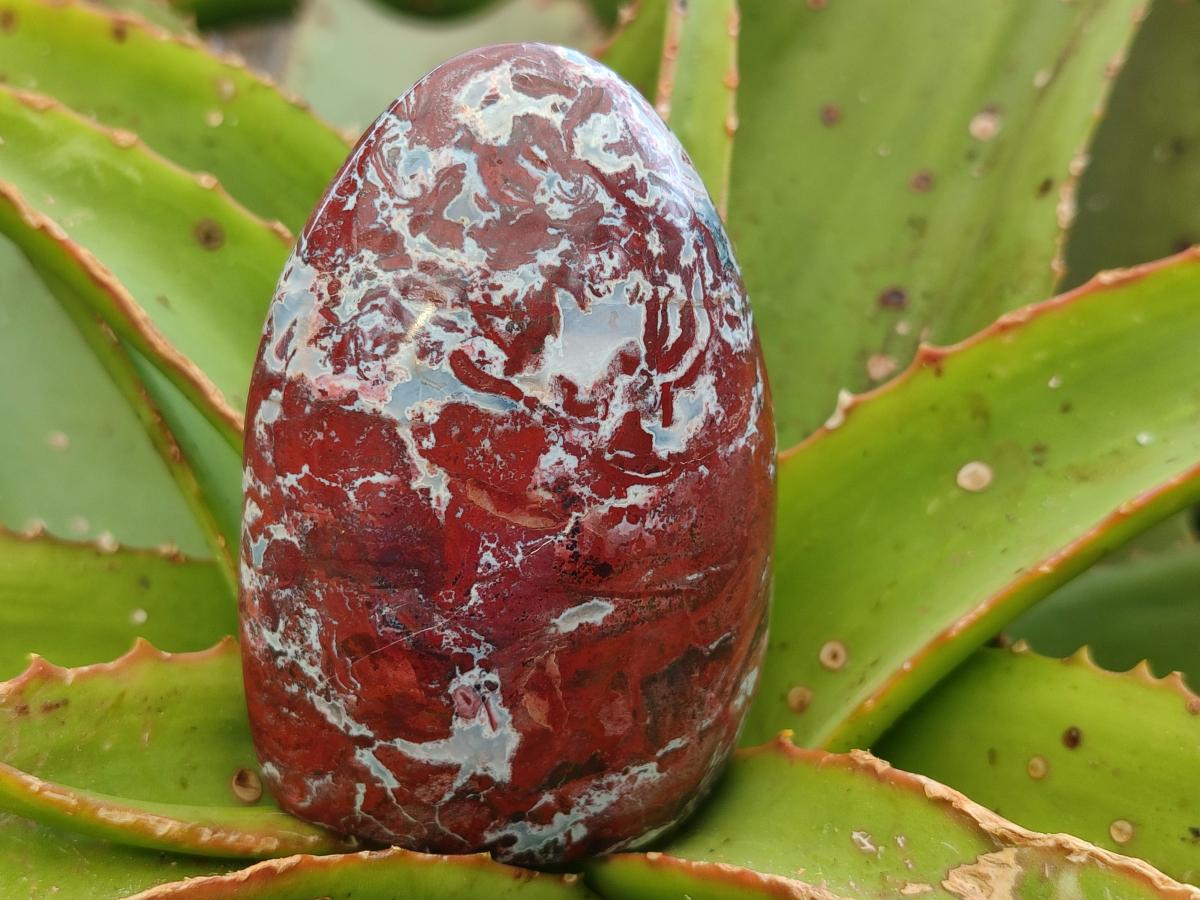Polished Red Jasper Standing Free Forms x 3 From Madagascar