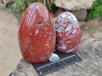 Polished Red Jasper Standing Free Forms x 3 From Madagascar