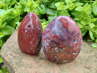 Polished Red Jasper Standing Free Forms x 3 From Madagascar