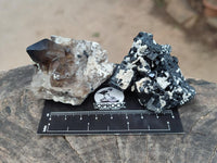 Natural Schorl Black Tourmaline with Associated Minerals x 6 From Erongo, Namibia