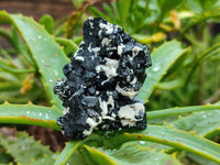 Natural Schorl Black Tourmaline with Associated Minerals x 6 From Erongo, Namibia