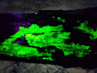 Natural Schorl Black Tourmaline with Associated Minerals x 6 From Erongo, Namibia