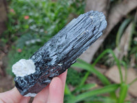 Natural Schorl Black Tourmaline with Associated Minerals x 6 From Erongo, Namibia