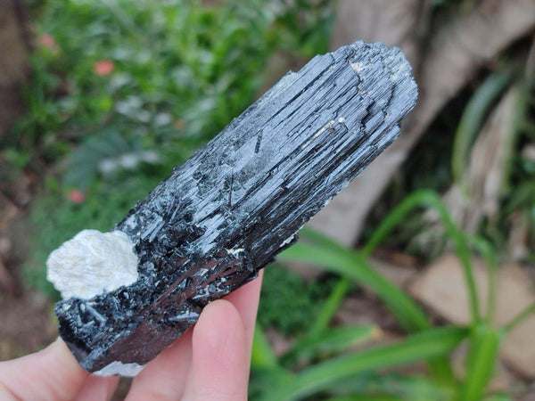 Natural Schorl Black Tourmaline with Associated Minerals x 6 From Erongo, Namibia