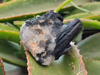 Natural Schorl Black Tourmaline with Associated Minerals x 6 From Erongo, Namibia