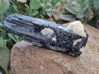Natural Schorl Black Tourmaline with Associated Minerals x 6 From Erongo, Namibia
