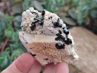 Natural Schorl Black Tourmaline with Associated Minerals x 6 From Erongo, Namibia