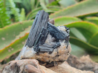 Natural Schorl Black Tourmaline with Associated Minerals x 6 From Erongo, Namibia