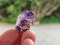 Natural Window Amethyst Crystals x 70 From Chiredzi, Zimbabwe