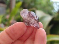 Natural Window Amethyst Crystals x 70 From Chiredzi, Zimbabwe