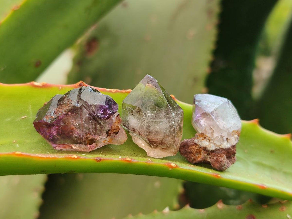 Natural Window Amethyst Crystals x 70 From Chiredzi, Zimbabwe