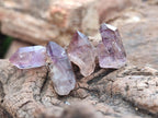 Natural Window Amethyst Crystals x 70 From Chiredzi, Zimbabwe