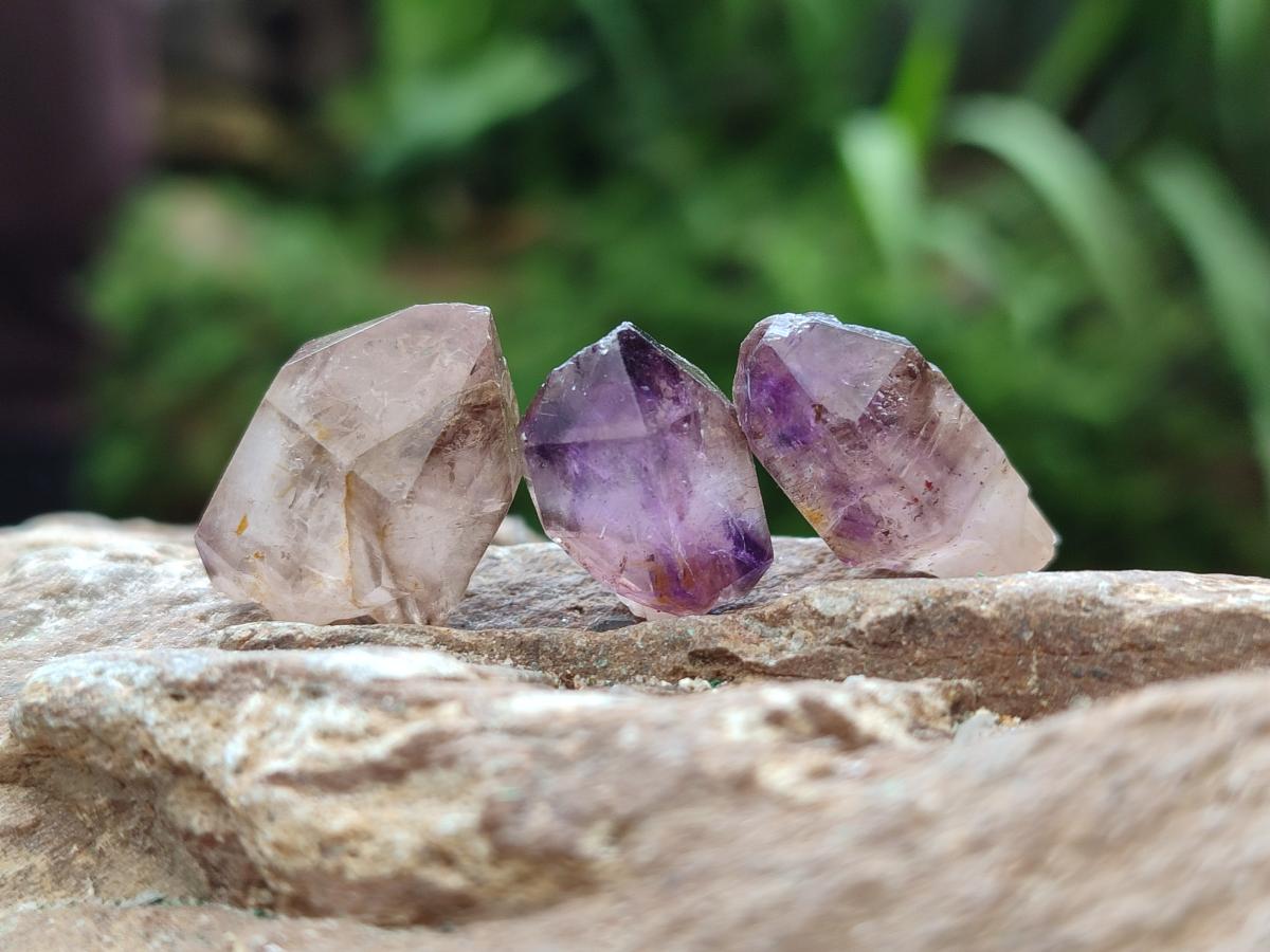 Natural Window Amethyst Crystals x 70 From Chiredzi, Zimbabwe