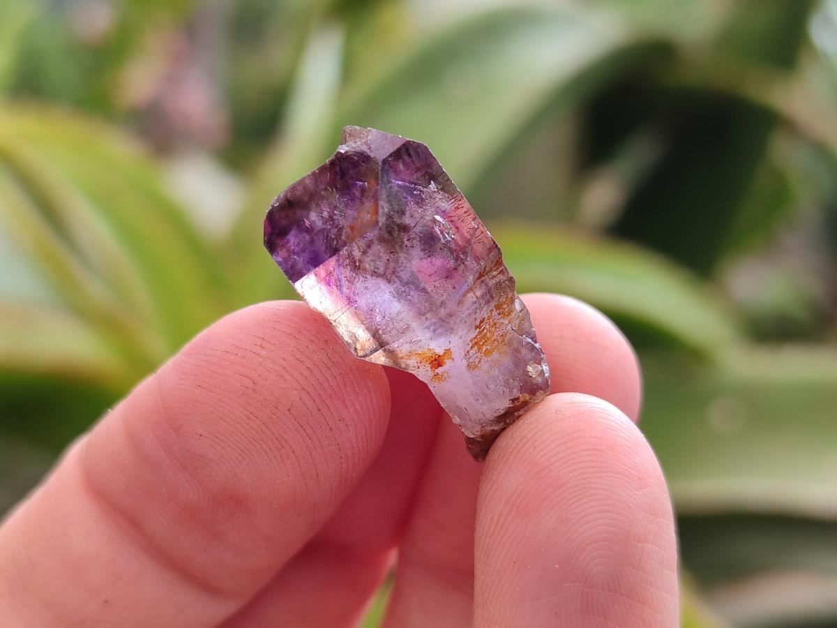 Natural Window Amethyst Crystals x 70 From Chiredzi, Zimbabwe