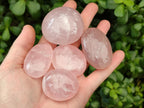 Polished Gemmy Rose Quartz Galets x 20 From Madagascar