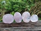 Polished Gemmy Rose Quartz Galets x 20 From Madagascar