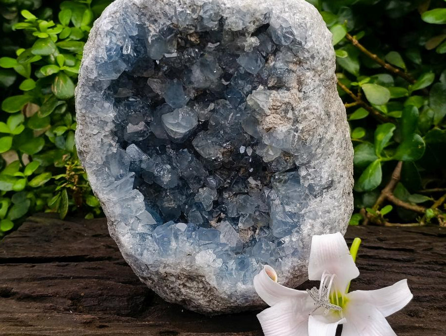 Natural XL Blue Celestite Specimen x 1 From Sakoany, Madagascar