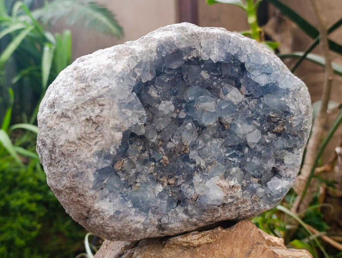 Natural XL Blue Celestite Specimen x 1 From Sakoany, Madagascar