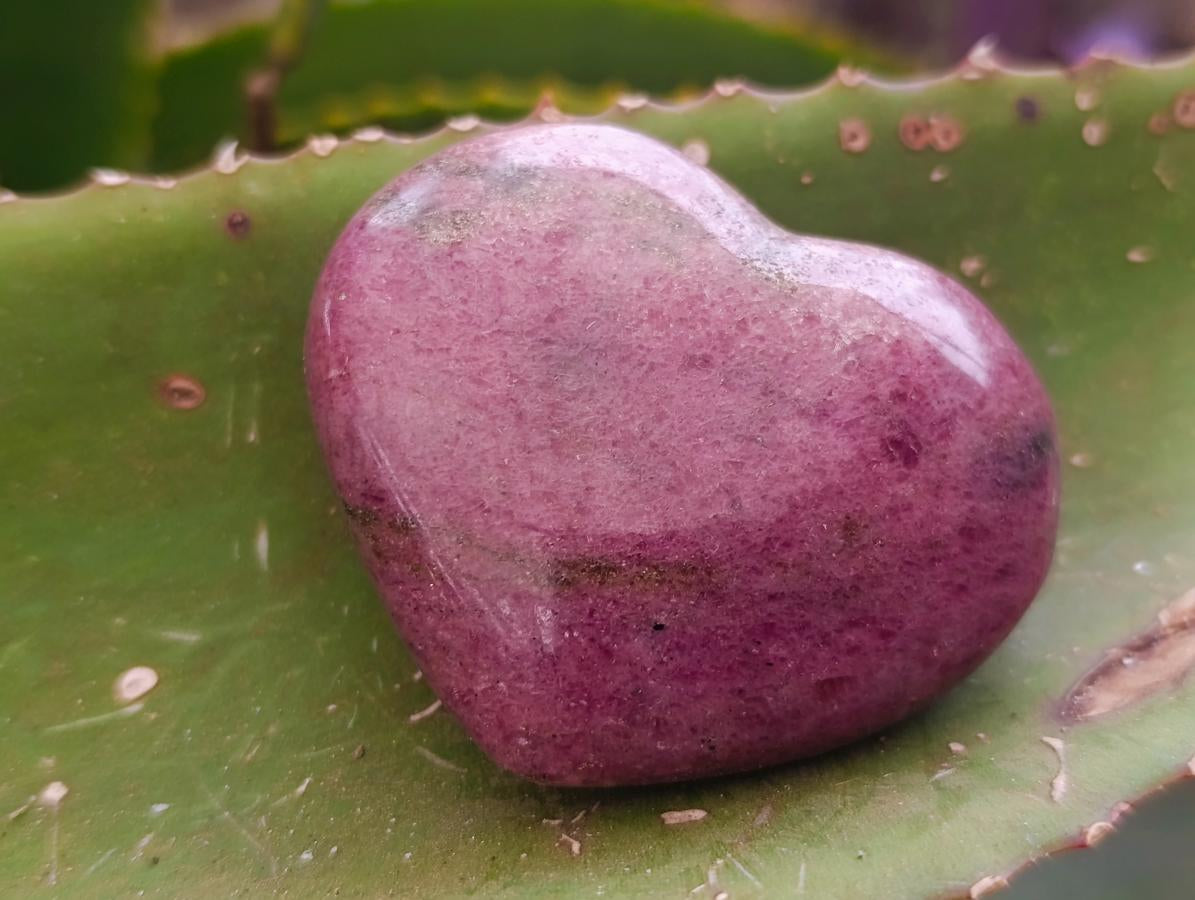 Polished Rhodonite Hearts x 3 From Ambindavato, Madagascar