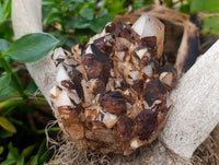 Natural Blacknite Quartz Clusters x 3 From Madagascar