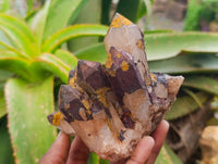 Natural Blacknite Quartz Clusters x 3 From Madagascar