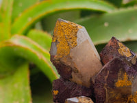 Natural Blacknite Quartz Clusters x 3 From Madagascar