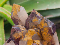 Natural Blacknite Quartz Clusters x 3 From Madagascar