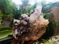 Natural Blacknite Quartz Clusters x 3 From Madagascar