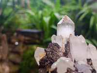 Natural Blacknite Quartz Clusters x 3 From Madagascar