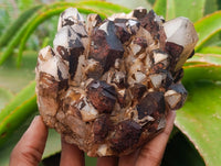 Natural Blacknite Quartz Clusters x 3 From Madagascar
