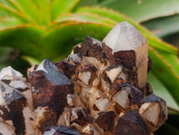 Natural Blacknite Quartz Clusters x 3 From Madagascar