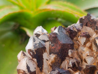 Natural Blacknite Quartz Clusters x 3 From Madagascar