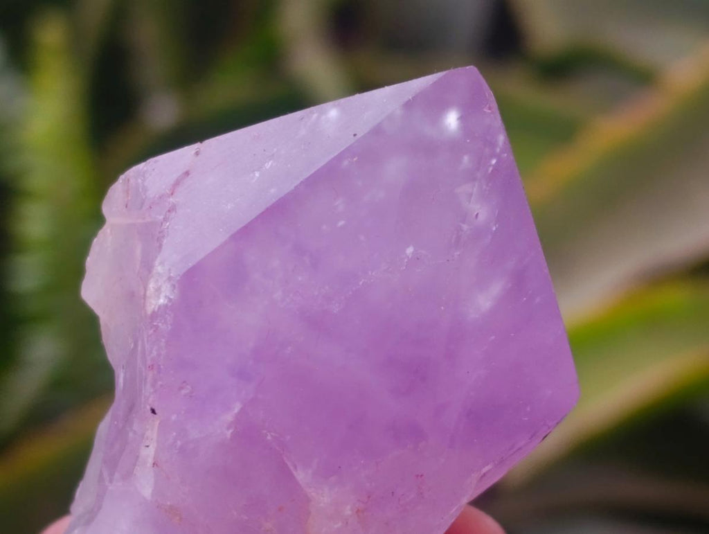 Polished Jacaranda Amethyst Crystals x 12 From Mumbwa, Zambia