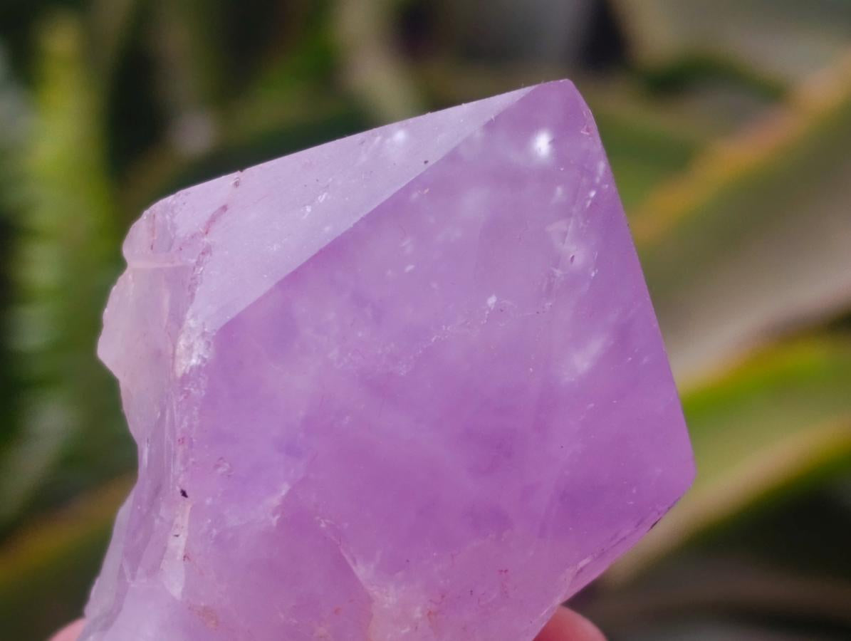 Polished Jacaranda Amethyst Crystals x 12 From Mumbwa, Zambia