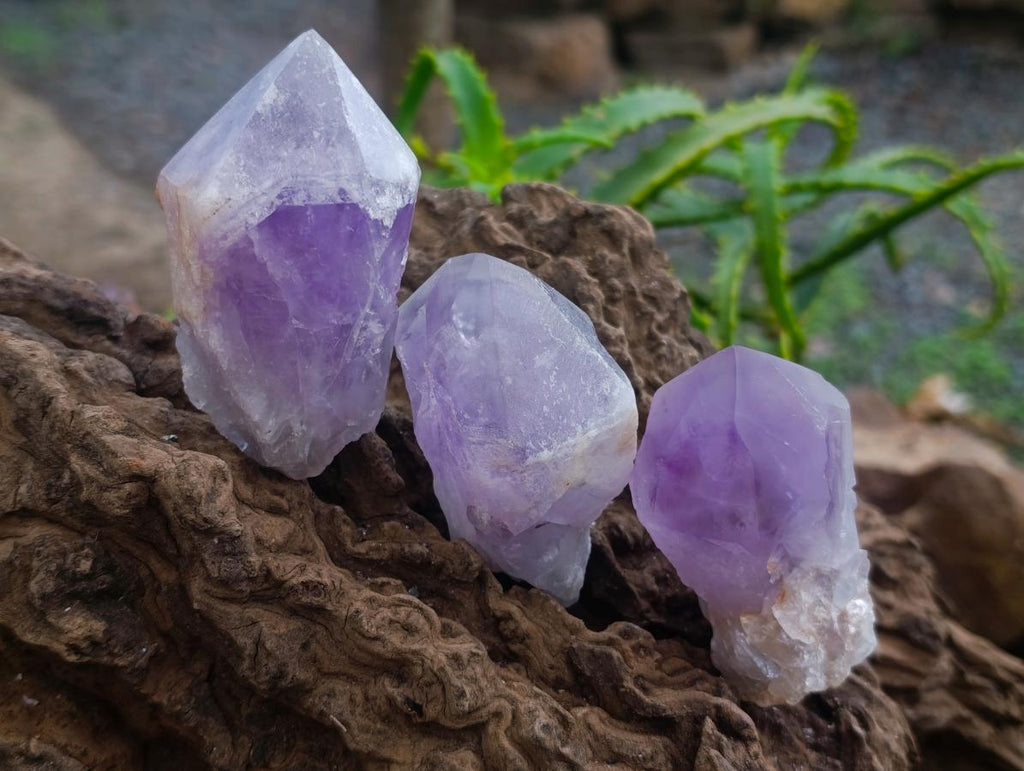 Polished Jacaranda Amethyst Crystals x 12 From Mumbwa, Zambia