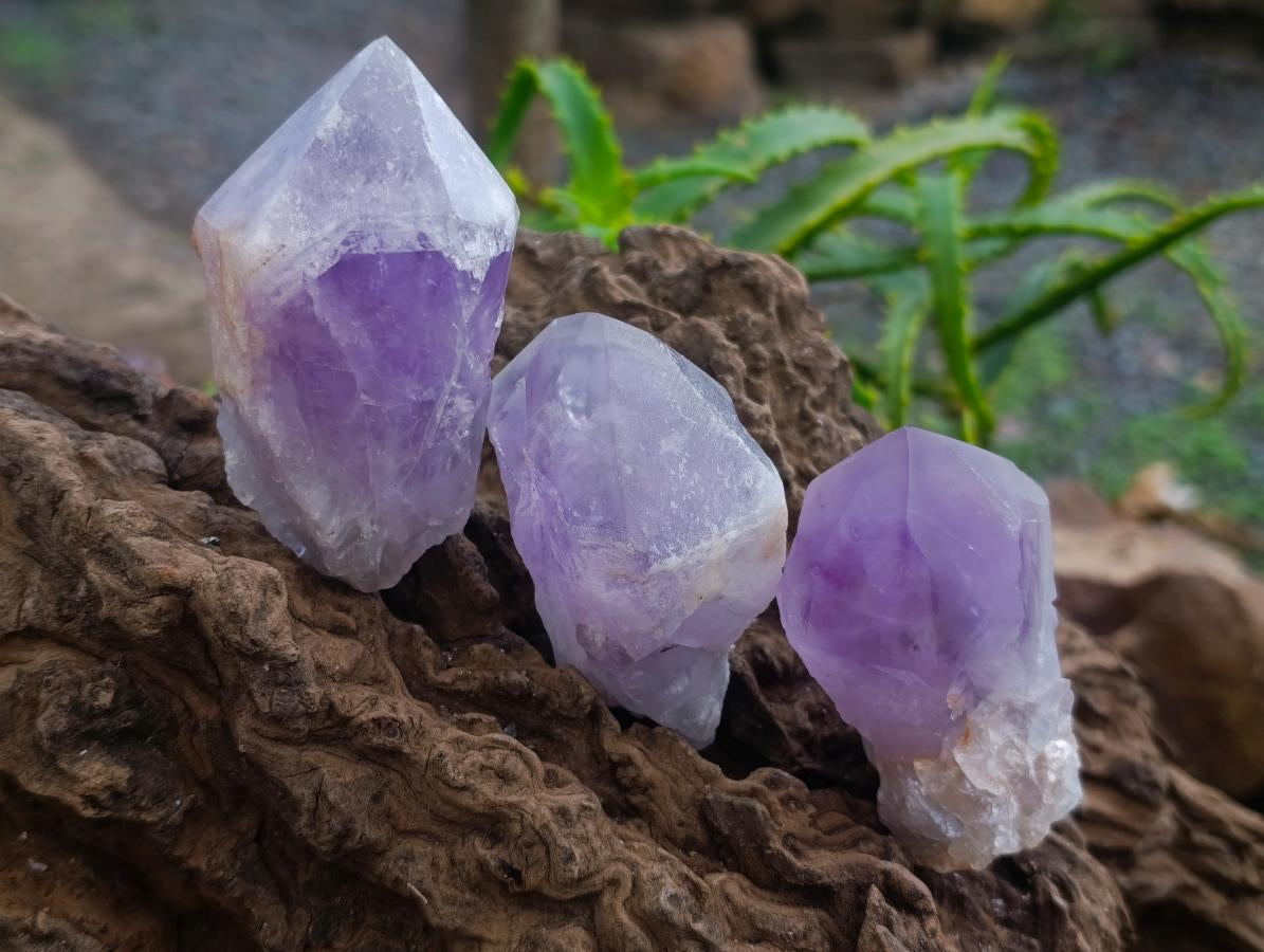 Polished Jacaranda Amethyst Crystals x 12 From Mumbwa, Zambia