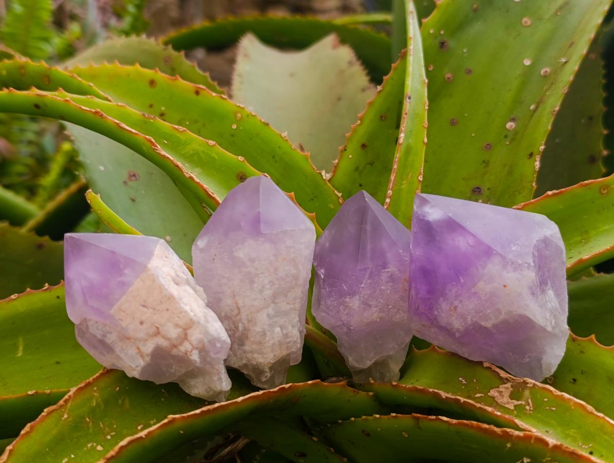 Polished Jacaranda Amethyst Crystals x 12 From Mumbwa, Zambia