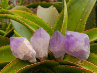 Polished Jacaranda Amethyst Crystals x 12 From Mumbwa, Zambia