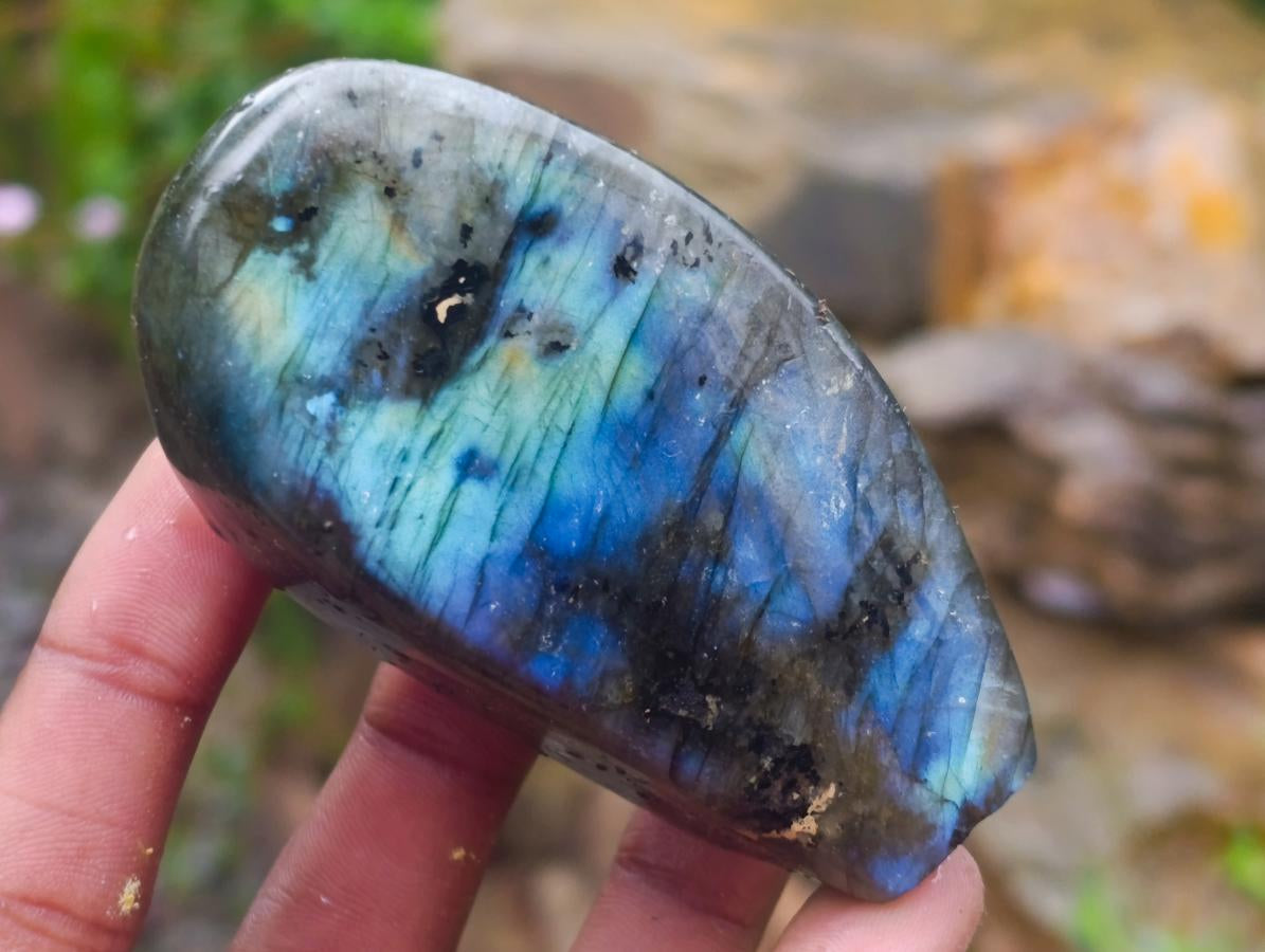 Polished Labradorite Standing Free Forms x 6 From Tulear, Madagascar