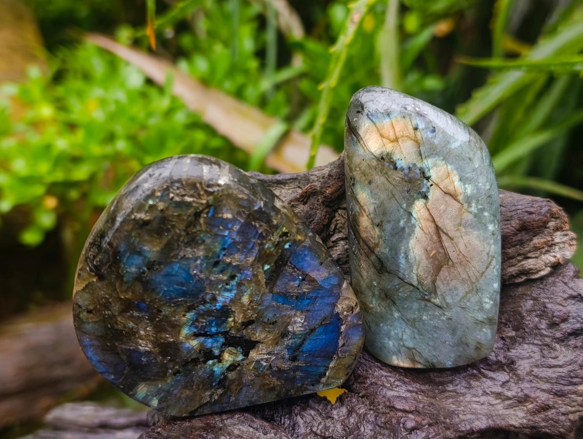 Polished Labradorite Standing Free Forms x 6 From Tulear, Madagascar