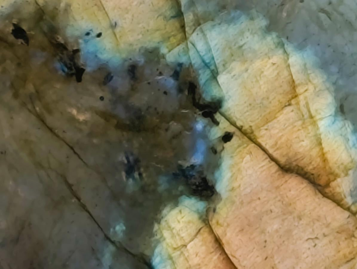 Polished Labradorite Standing Free Forms x 6 From Tulear, Madagascar