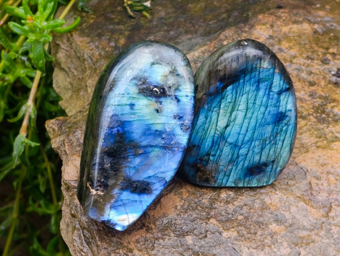 Polished Labradorite Standing Free Forms x 6 From Tulear, Madagascar