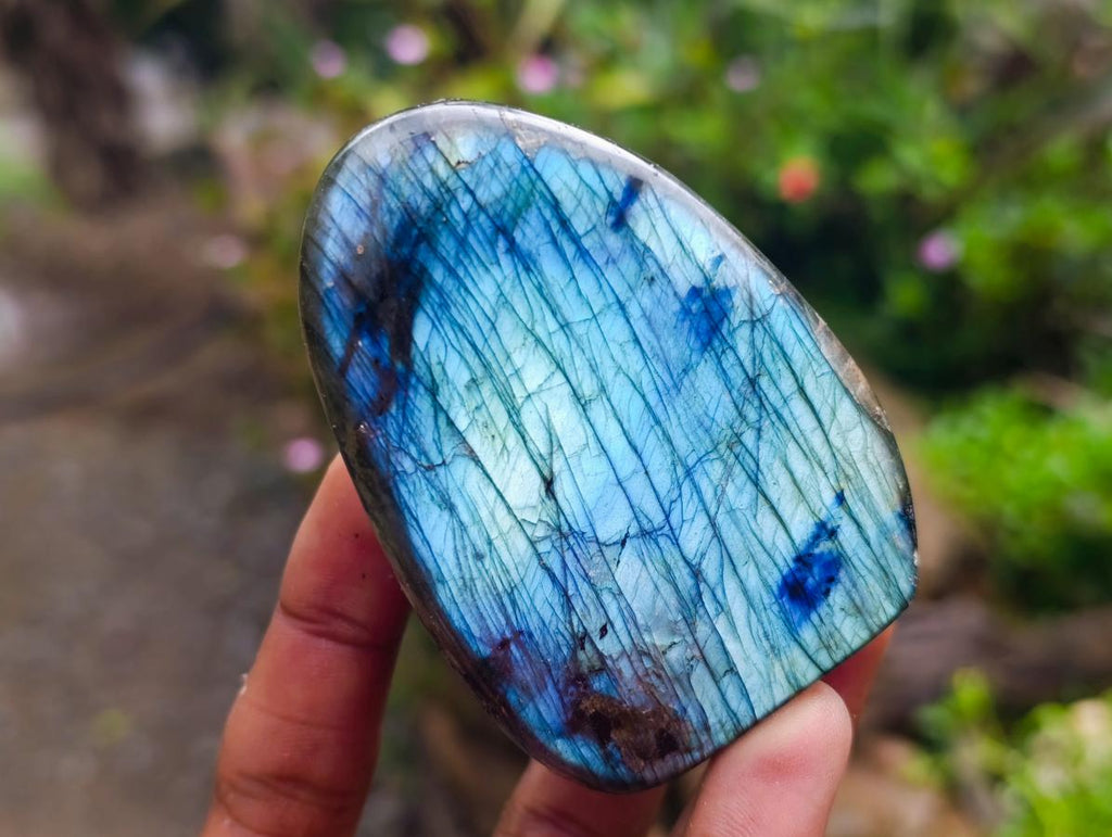 Polished Labradorite Standing Free Forms x 6 From Tulear, Madagascar