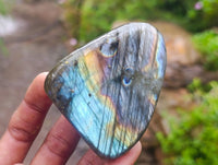 Polished Labradorite Standing Free Forms x 6 From Tulear, Madagascar
