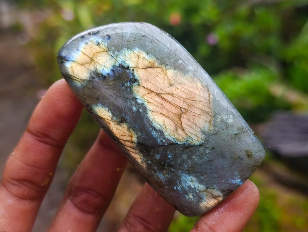 Polished Labradorite Standing Free Forms x 6 From Tulear, Madagascar