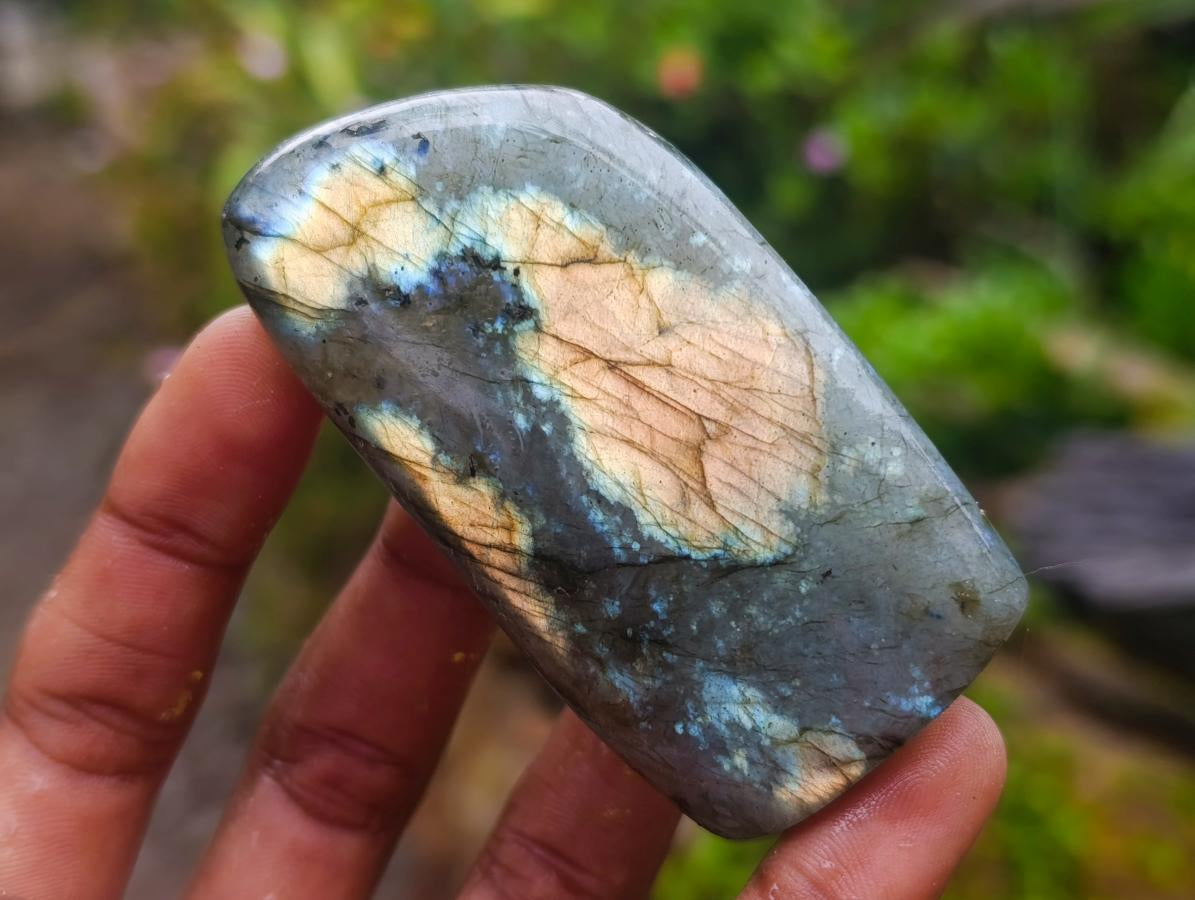 Polished Labradorite Standing Free Forms x 6 From Tulear, Madagascar